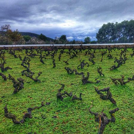 Agroturismo Sa Vinya D'En Palerm Sant Miquel de Balansat Extérieur photo