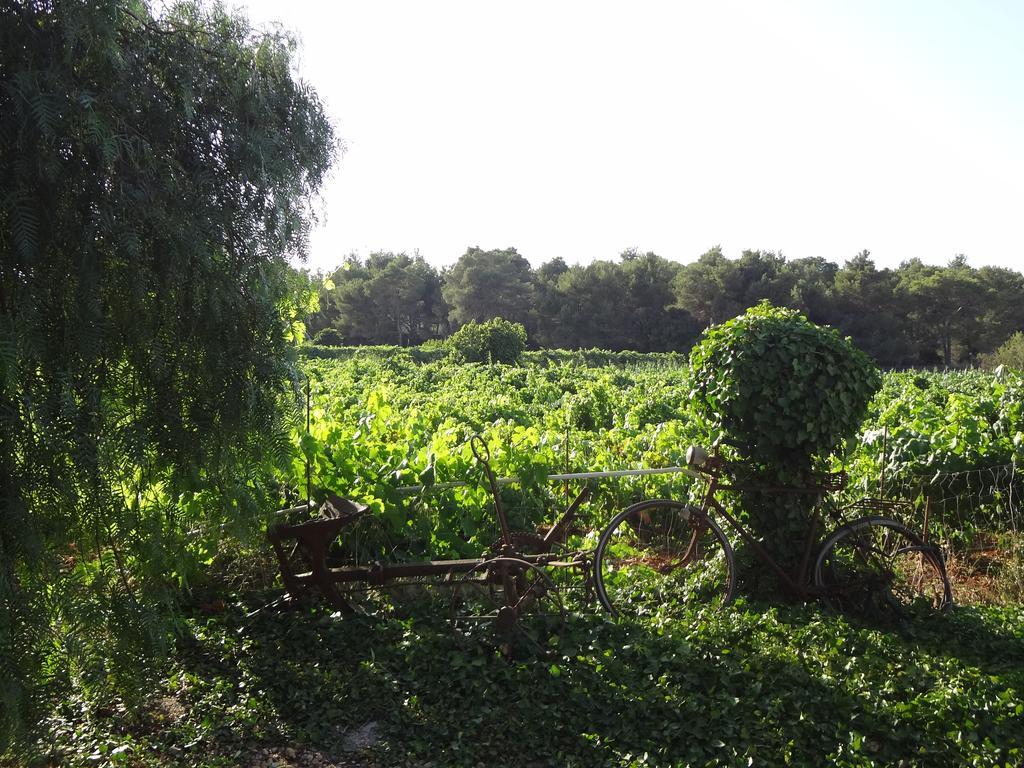 Agroturismo Sa Vinya D'En Palerm Sant Miquel de Balansat Extérieur photo