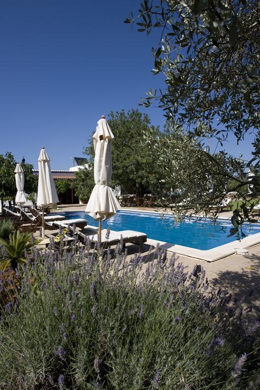 Agroturismo Sa Vinya D'En Palerm Sant Miquel de Balansat Extérieur photo