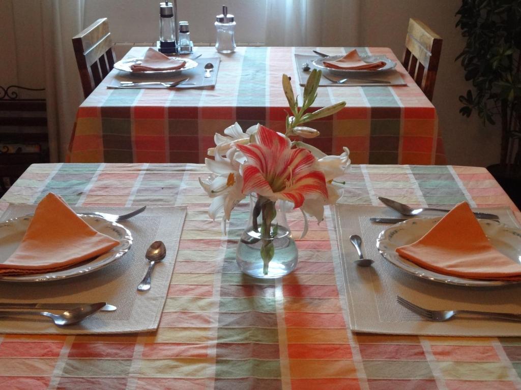 Agroturismo Sa Vinya D'En Palerm Sant Miquel de Balansat Extérieur photo