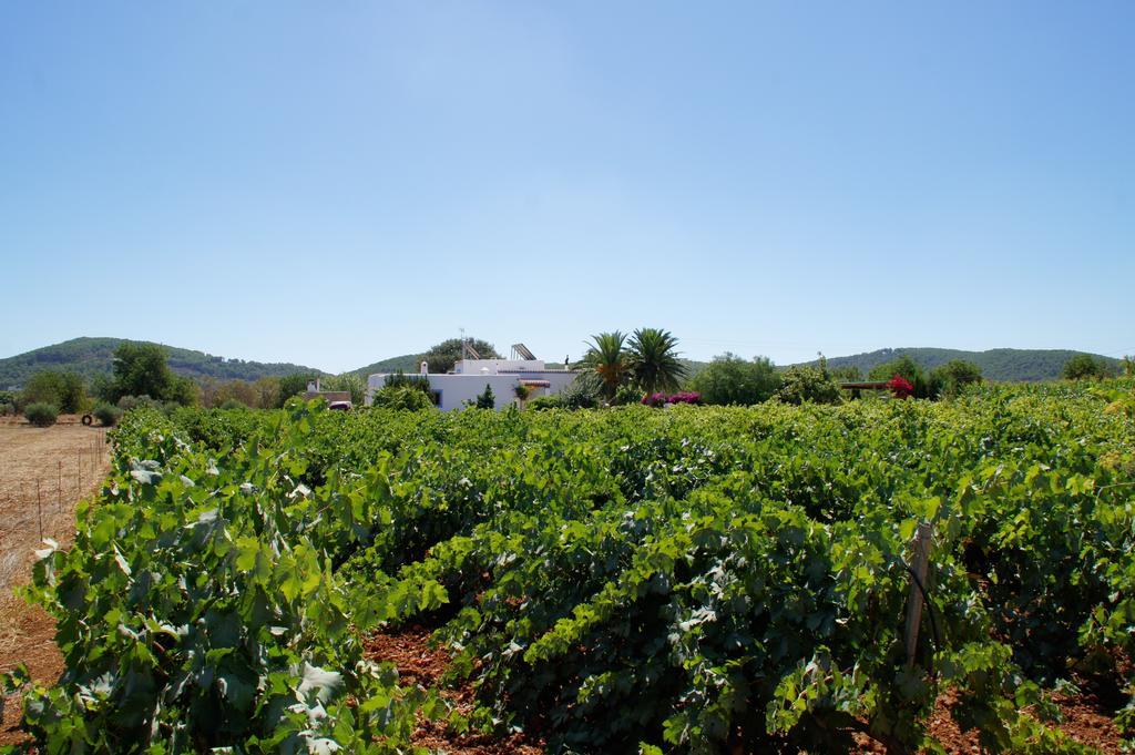 Agroturismo Sa Vinya D'En Palerm Sant Miquel de Balansat Extérieur photo