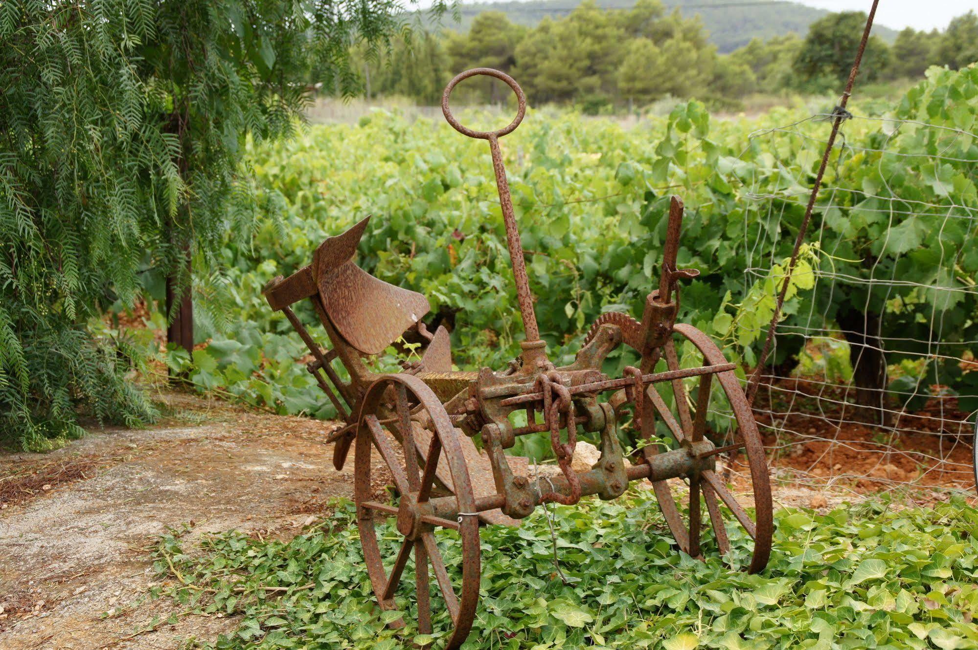 Agroturismo Sa Vinya D'En Palerm Sant Miquel de Balansat Extérieur photo