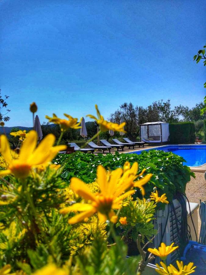 Agroturismo Sa Vinya D'En Palerm Sant Miquel de Balansat Extérieur photo