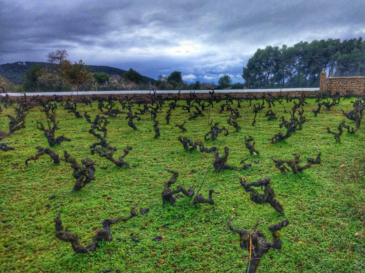 Agroturismo Sa Vinya D'En Palerm Sant Miquel de Balansat Extérieur photo